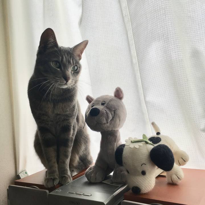 35f129d0 258c 42d8 80bd 649fcaa9296f 1523666395887