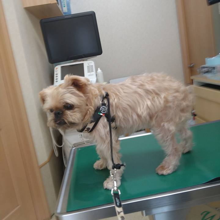 35f142fe ff0c 4a27 ad22 d63d72f7162d 1659754386983