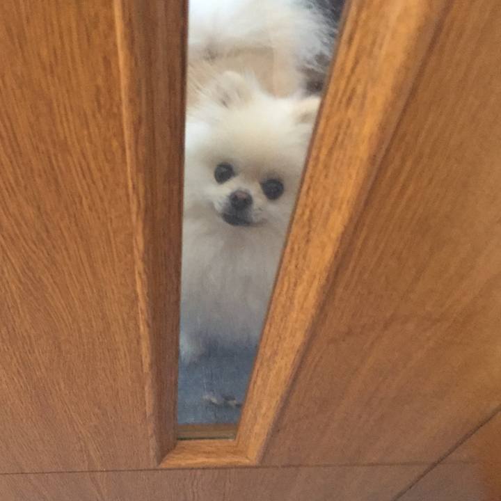 35f1acd6 d447 47f2 8afb c0dc7cd3c5ba 1535242646337