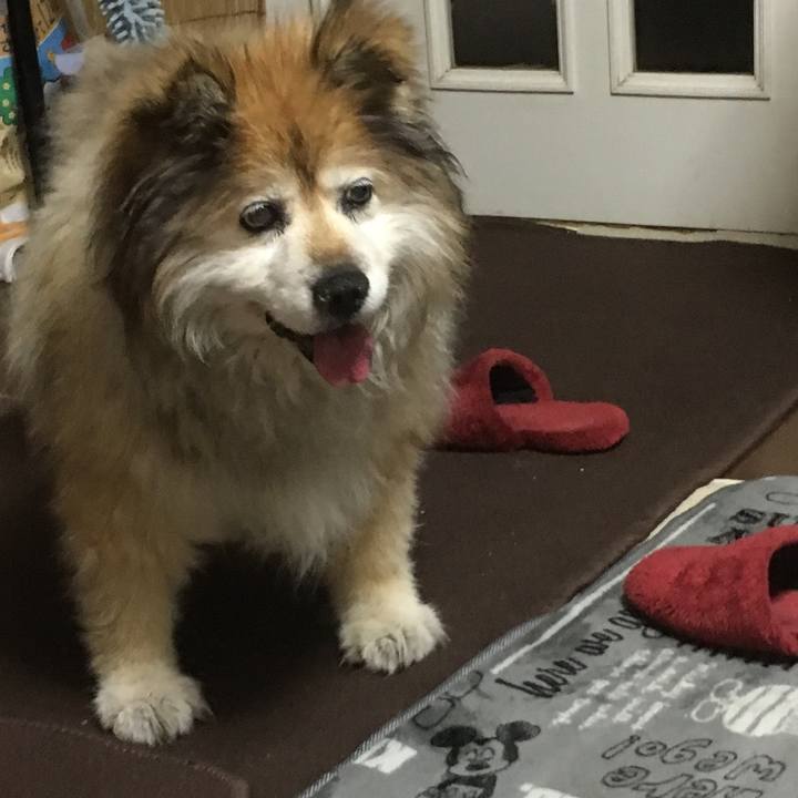 35f1e1da 6ca7 4624 97f6 cf0b8221c6ab 1557739572232