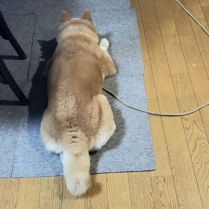 35f22c0a bd32 494e 93b1 d4be1dad6a7b 1692523652144