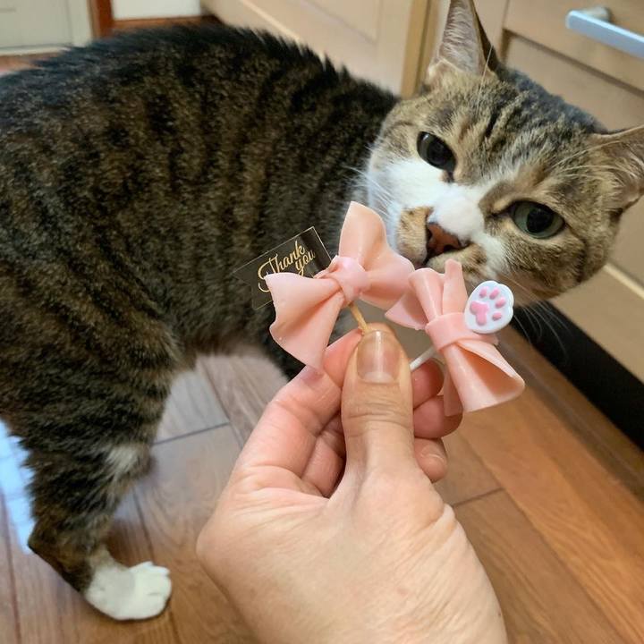 35f2416a 67b5 447e ae1a 9b46668f050d 1650318222578