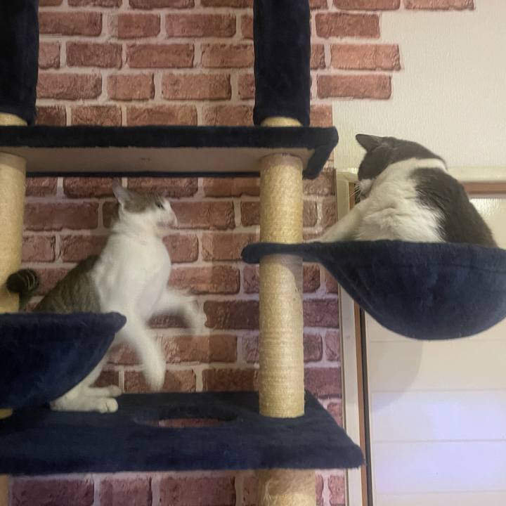 35f28447 fc02 40b7 9556 6105f6360e16 1634394349046