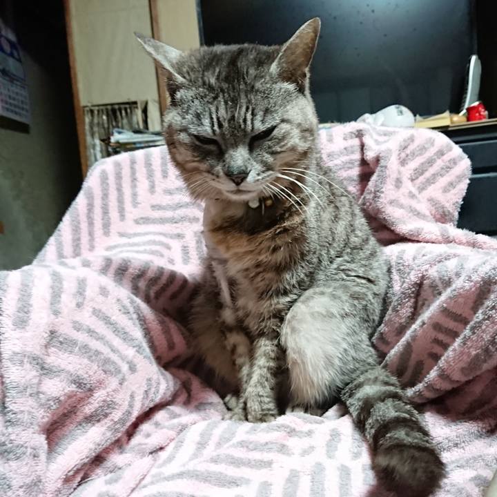 35f2888f 0746 4506 b446 31e8c274f4bb 1590522785366