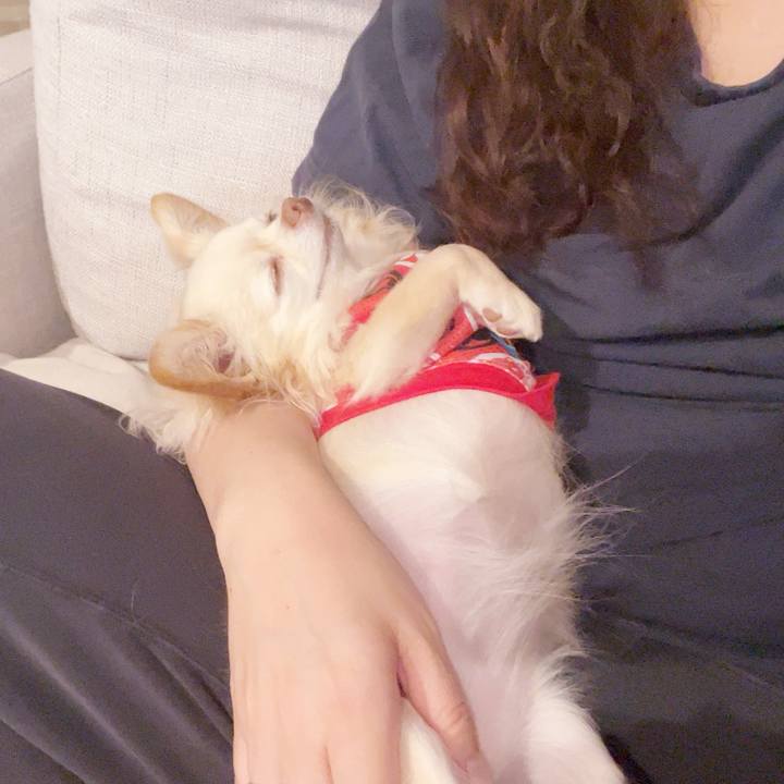 35f28e9b 5470 41c0 850b de524eb94432 1742993341253