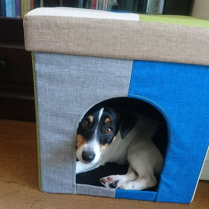 35f2b04b 14f5 4185 99d3 0a1cce9f5d30 1560733605612