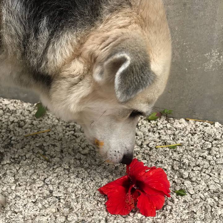 35f2bd80 9528 4cf6 9a90 bc62ca197e14 1553479730141