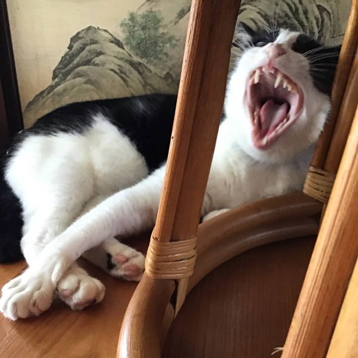 35f2e1e5 848c 4fa1 b953 4163c0efe438 1757411266511