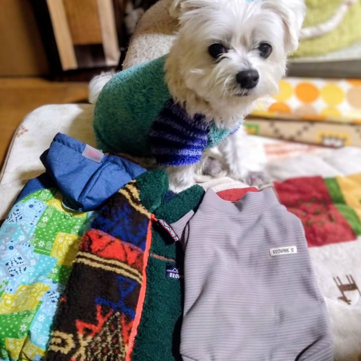 35f32a2f c9cc 4130 814b 390a9ef55eab 1765447556007