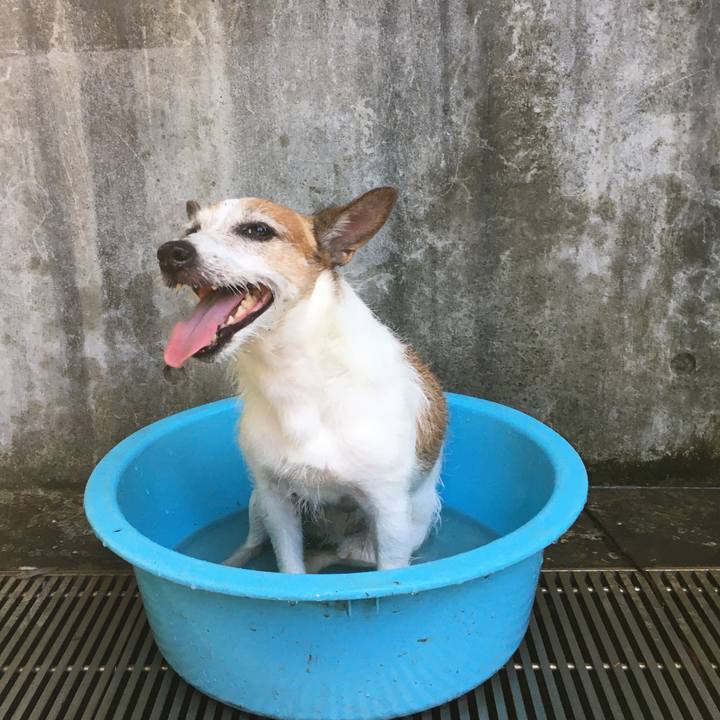 35f35db9 c1f5 4620 8963 cff19d5e555f 1658791300497