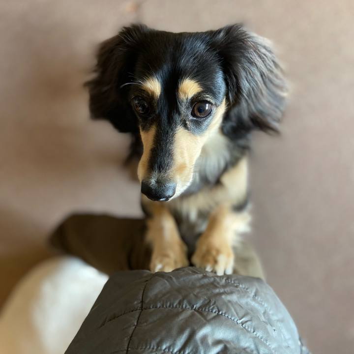 35f3adda 3dc1 42fd 917c f00db4c5d9d6 1709276810375