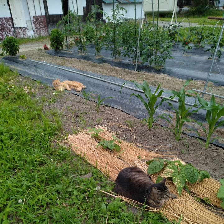 35f3f2ad 3352 4f45 8035 3db6a1fb4e71 1687510779876