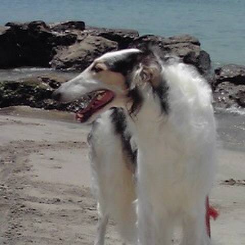 35f429c9 0efe 466c 9447 40118743ff82 1541935912995