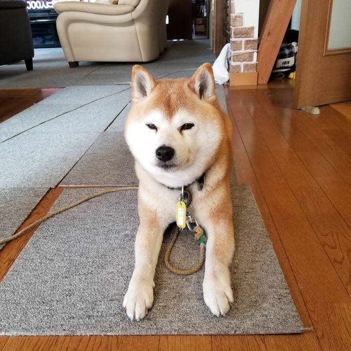 35f4569e 4f25 4e9d ba83 c042c925288f 1649544170068