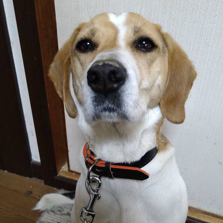 35f4b503 7a1a 4075 8661 158bd0459b3c 1618988340944