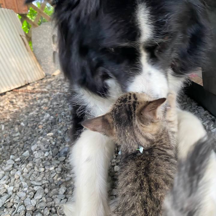 35f4d6f9 5b5e 4a5c a3a2 96ca8660fc64 1597970194786