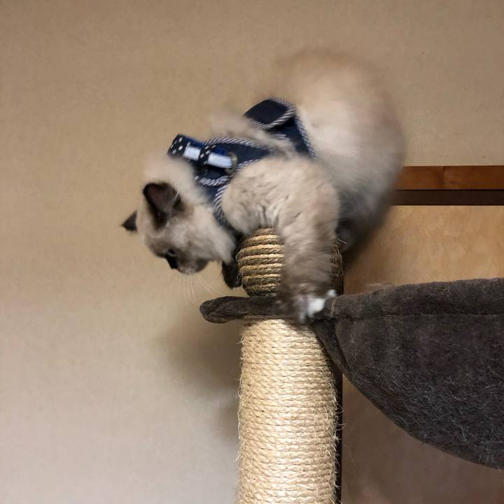 35f52555 3c38 43d6 b284 785204d346e0 1632207021937