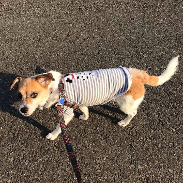 35f540a0 ef02 4a0f a4a4 3fafc34a6f14 1557563494760