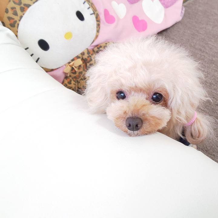 35f584d2 a91a 4e32 a892 b901989d0255 1580774554931