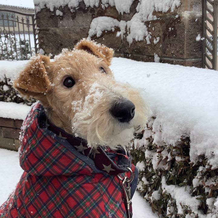 35f5adaa 5820 4452 9fff 6e027c78c86f 1770519043162