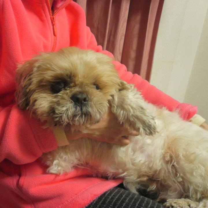 35f5d781 d660 40b1 b030 d0e5e4c2642a 1517970882837