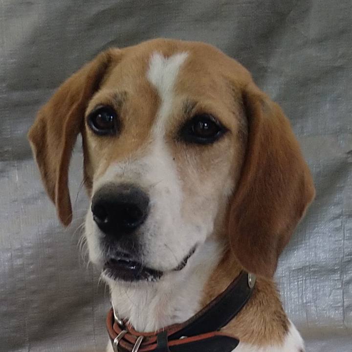 35f5e6be 8c4a 43e5 ad06 31640e949210 1662554740966