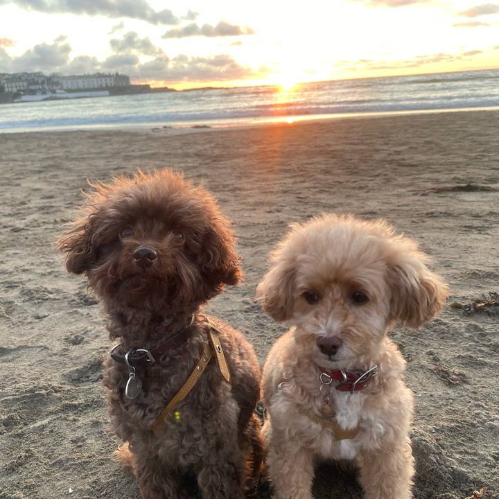 35f5ea6e beda 41fc 86a5 e372ab1fbb29 1594545901038