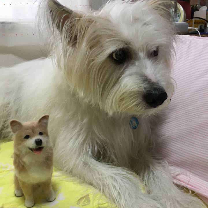 35f5eacc eaaf 4bf9 8009 055d9a1ec18b 1600401883013