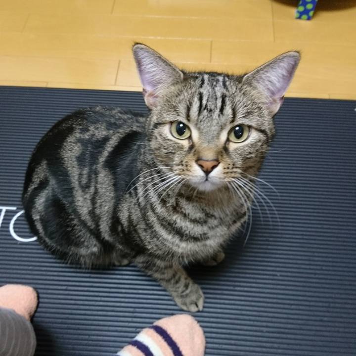 35f5fbe6 0e9d 4436 a80f 78104535e69a 1510998039059