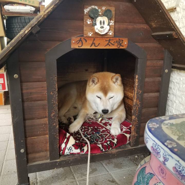 35f6382f 263d 469c ab6e 2dace907e0f8 1655770633883