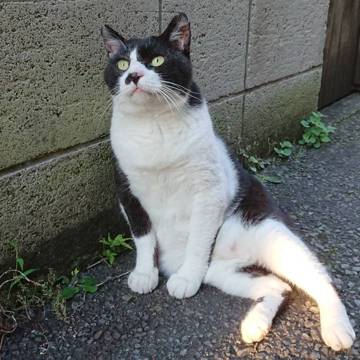 35f63c81 9645 4bbb 8b9c e0cf0aaf026d 1597136543299