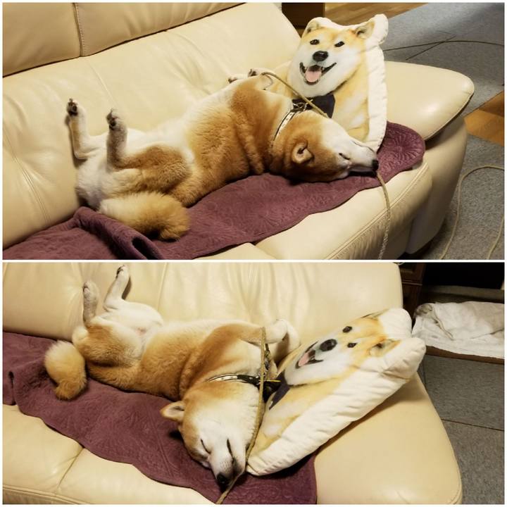 35f63d0b d54c 4290 a482 a9908d5d482d 1592655131474