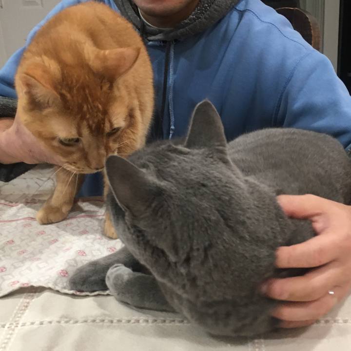 35f65c7a cf8f 40f3 8854 f4eb23938387 1691539432533