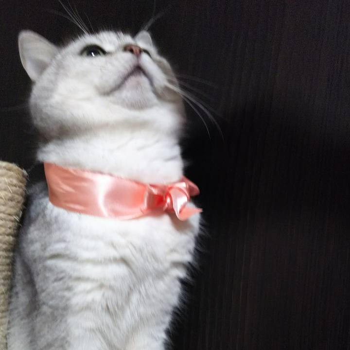 35f6775a 6b06 4c08 b24e 936f8a36193e 1522639783511