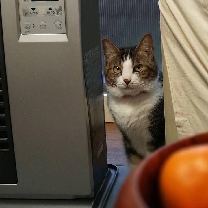 35f6c185 04d0 4f9b 9b21 478365eefe9d 1513994254610