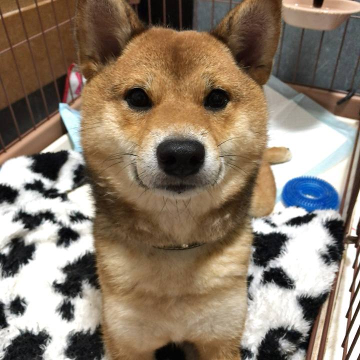 35f6d9f6 17ab 4aa4 a267 36d312eac1c2 1522834706083