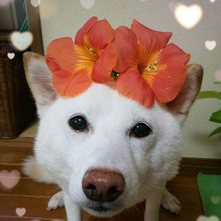 35f6fc1c f0d9 40a6 9e5b 37434e105a80 1595211356970