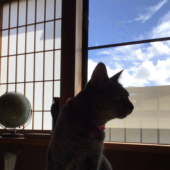 35f70ed9 47d5 43b1 b5e4 b99d961f405d 1598504173908