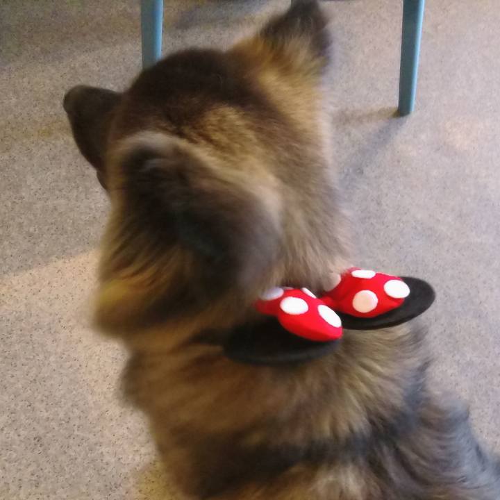 35f70ff7 cc36 4d0a b84f f129c2cd59a8 1760752164750