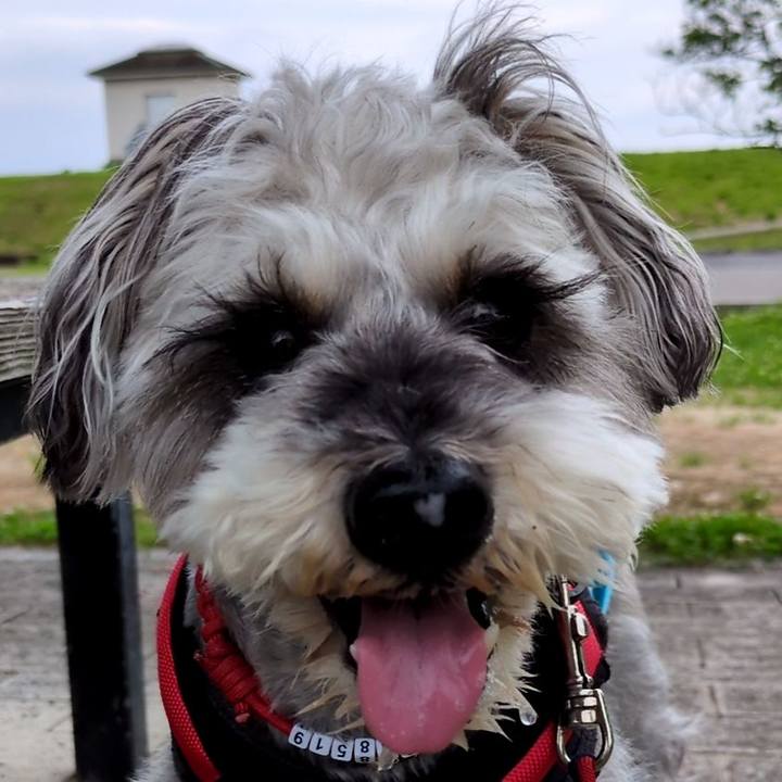 35f7241b 1f48 4ff3 9b2e 8837d447b3ca 1749822905265