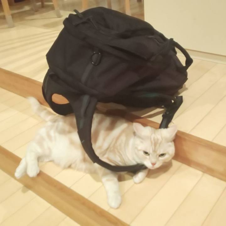 35f74686 468b 4769 8279 c589ade04859 1558055346635