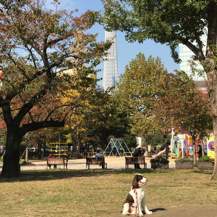 35f784fa a81b 42c5 b304 e4526627b9d0 1510032462429