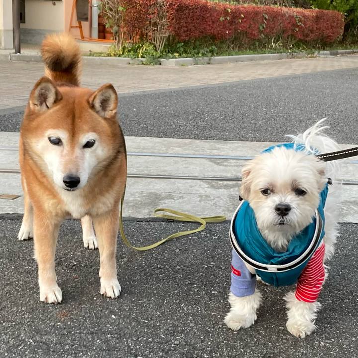 35f7af36 40c9 478d a040 e42db9721a81 1670495235925