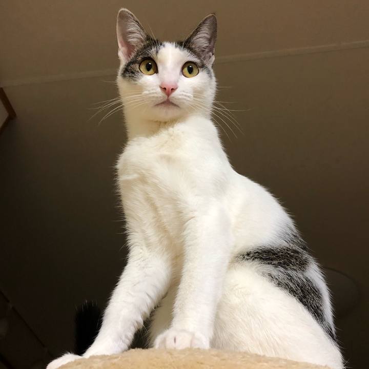 35f7cd0f d516 45ff a8ab 6485942aeac9 1582285367476