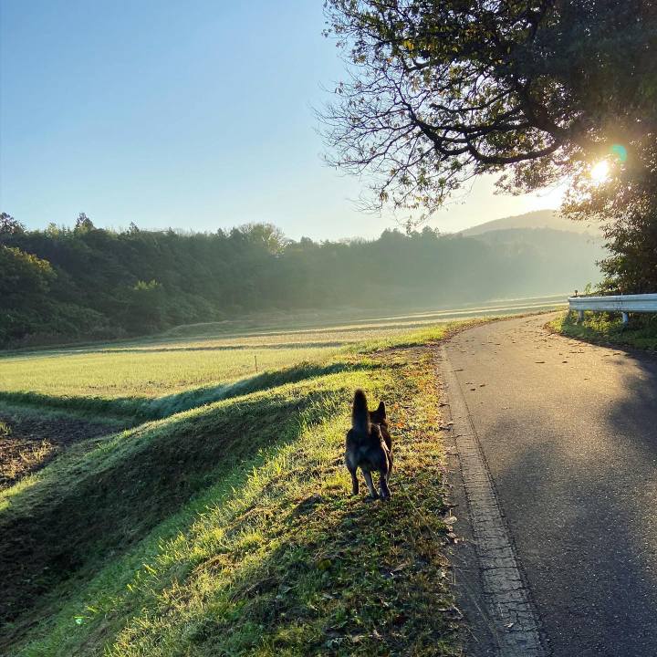 35f84375 f5c6 4848 a0a9 a71cced297ed 1635981548950