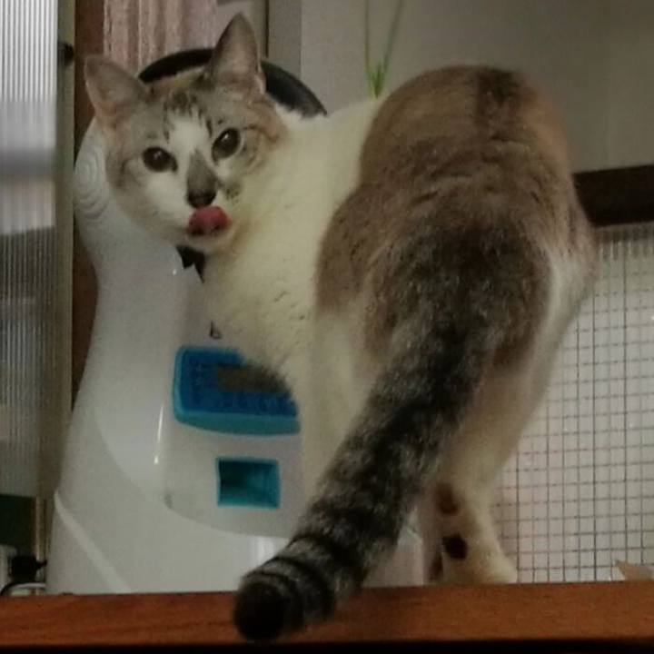 35f84656 2332 4c99 8d71 5a174475fb35 1547091793247