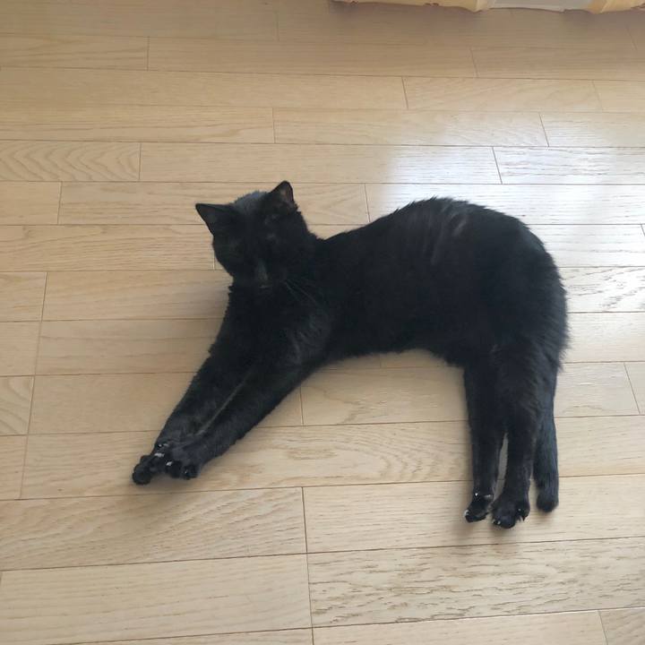 35f85849 1abb 42bc 99e2 ff865e26378f 1606133977268