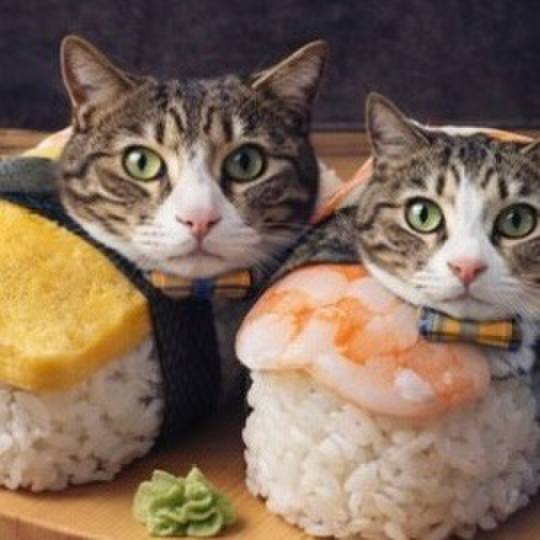 35f88060 9106 4e53 bd85 1b168ea42513 1775034957097