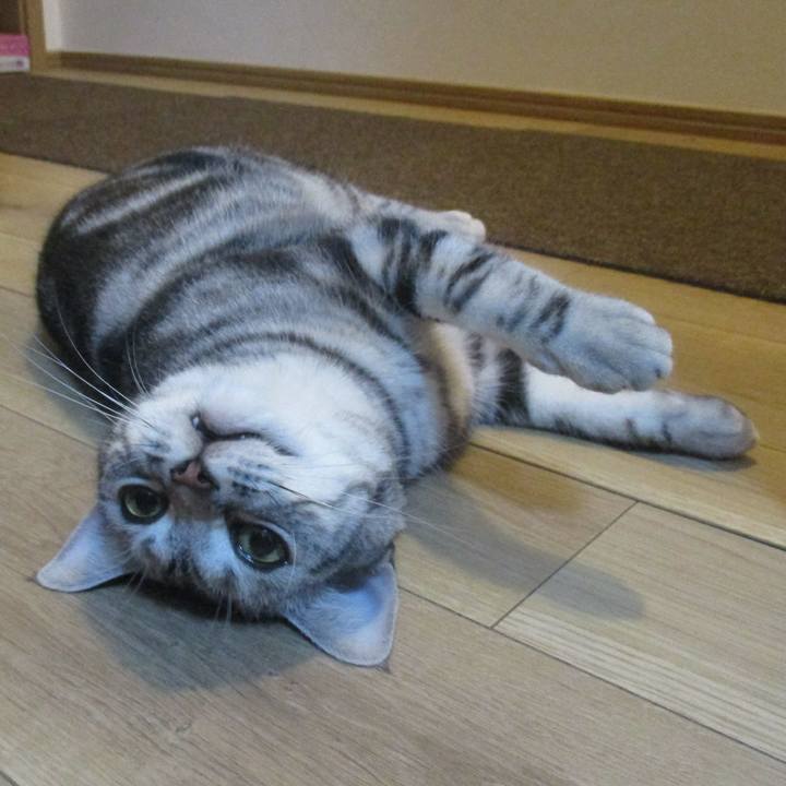 35f881f1 cc1e 4679 8a51 ad5bd36754fc 1556668509523