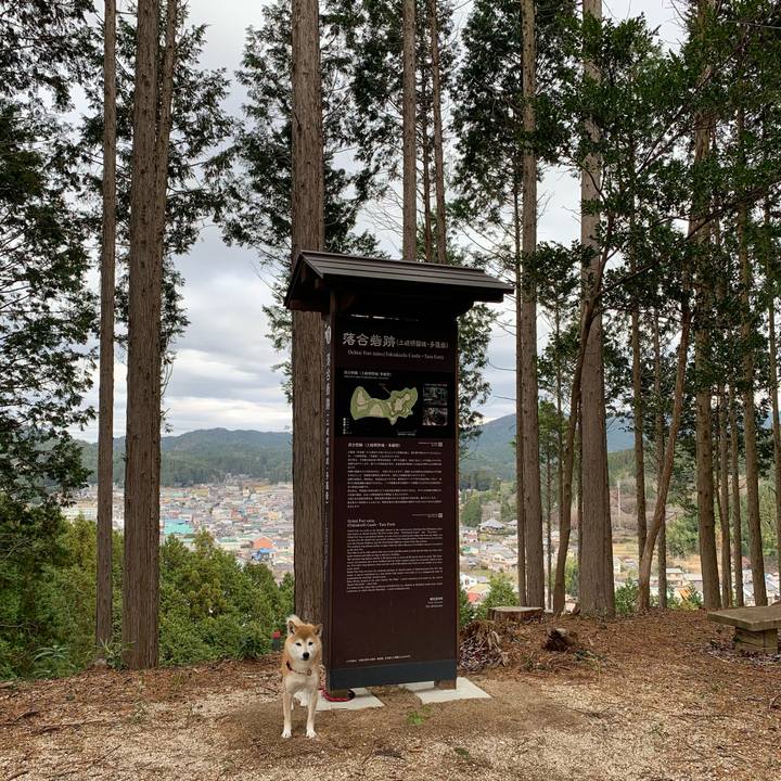 35f8d1c7 b56e 4c8c aa47 8c5817c542af 1606896641402